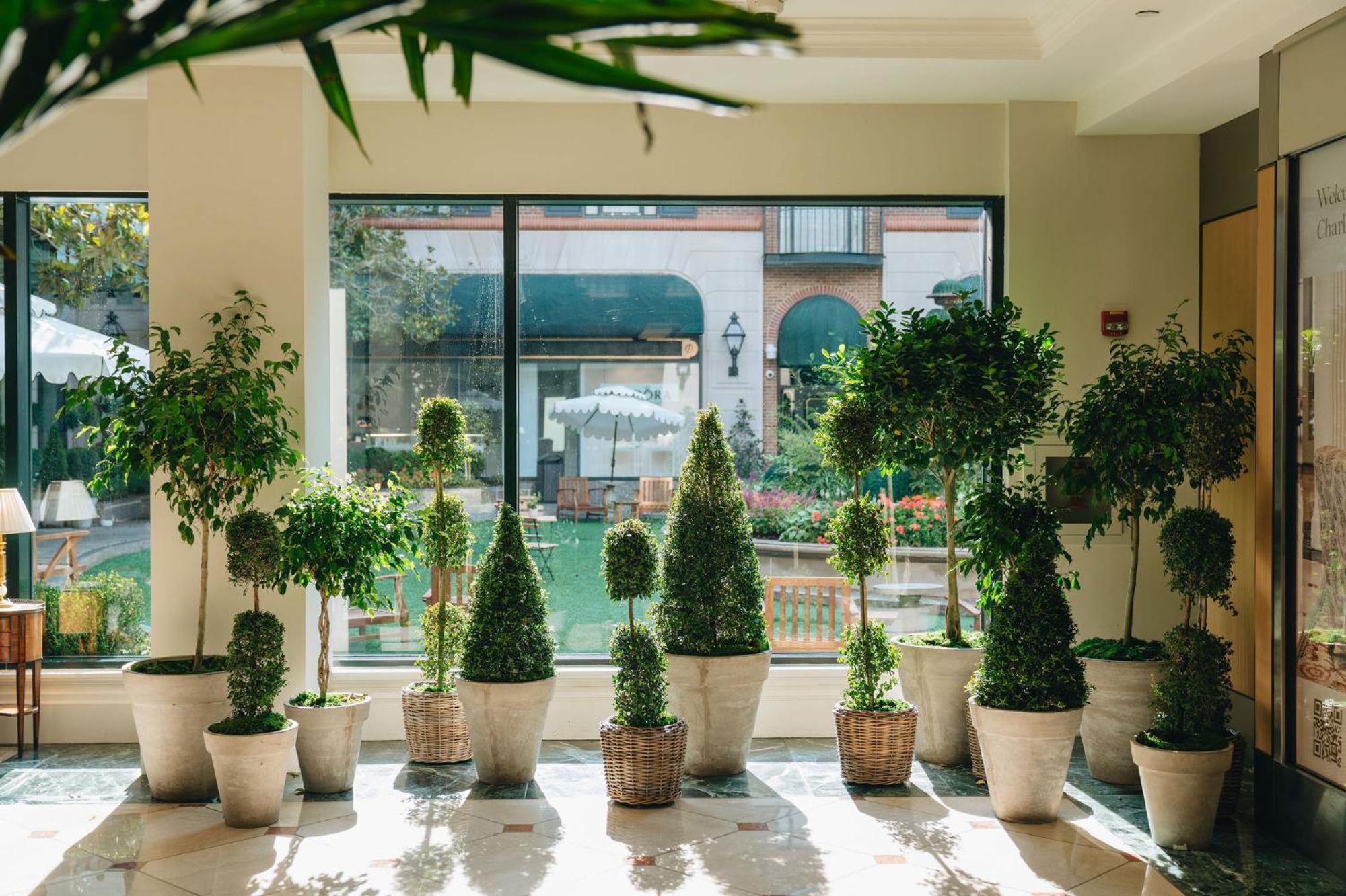 The Charleston Place المظهر الخارجي الصورة